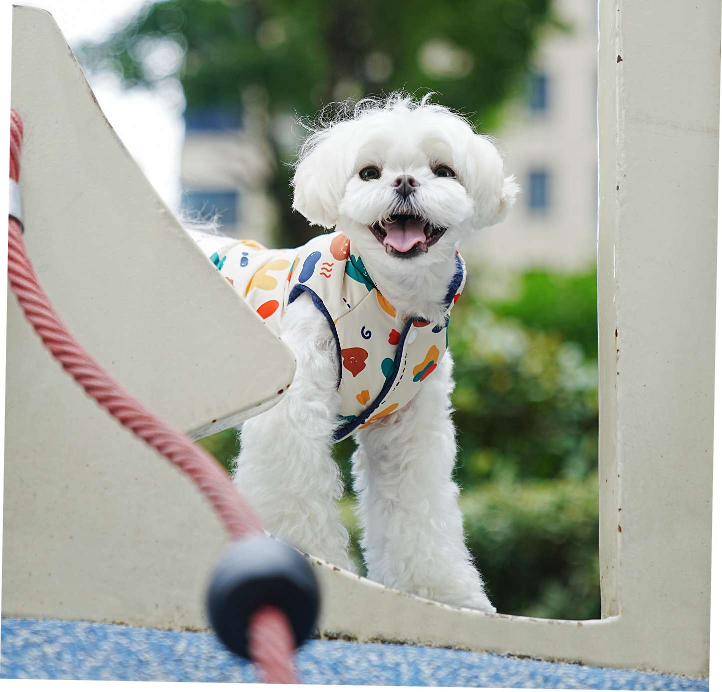 Chaqueta perro Animal Print