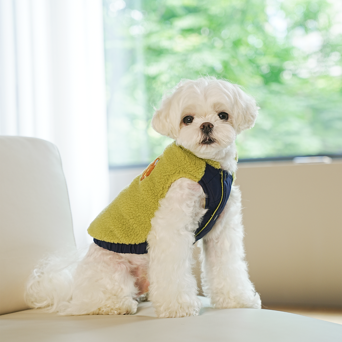 Chaqueta perro polar