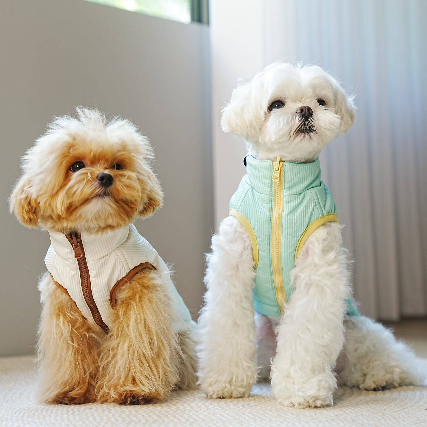 Chaqueta perro reversible