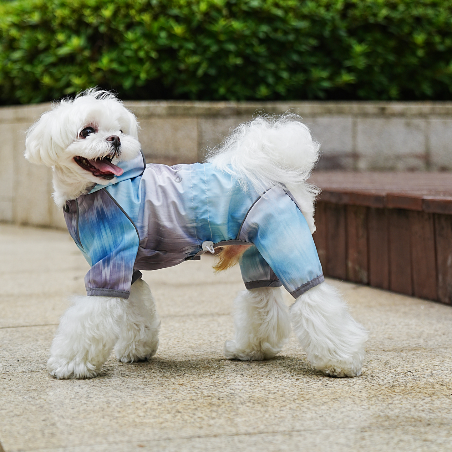 Impermeable degradado para perros