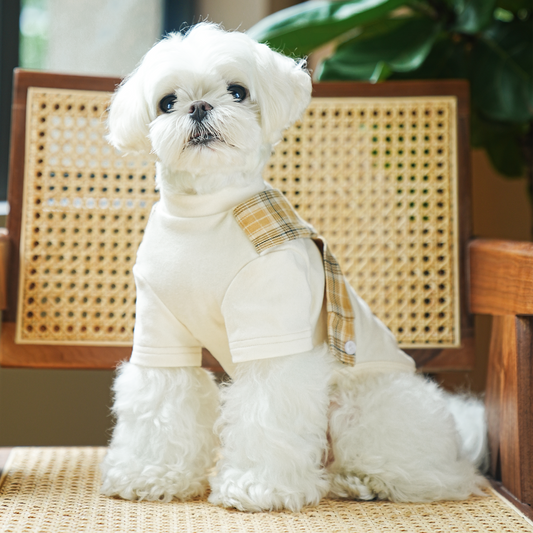 Polera con bufanda para perro
