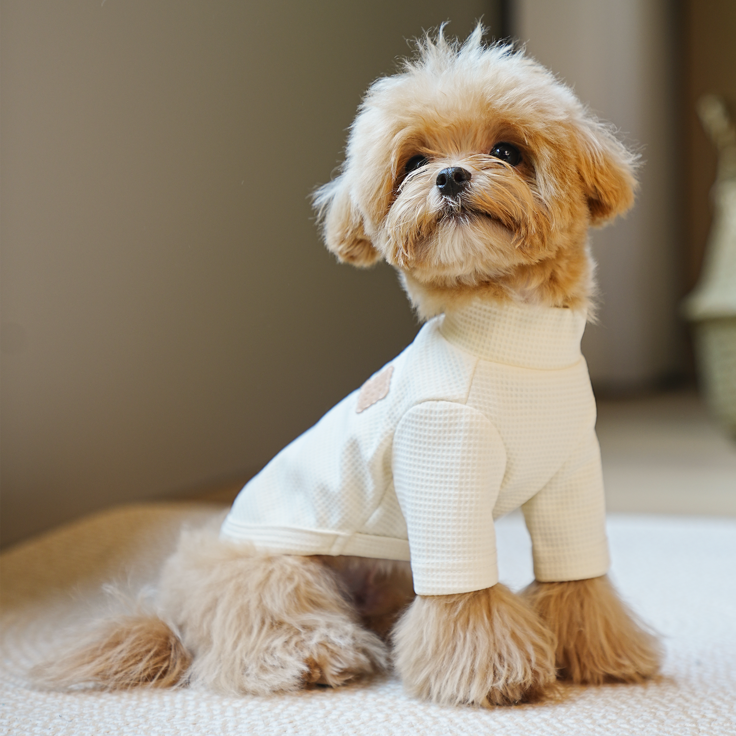 Polera perro Love Biscuit