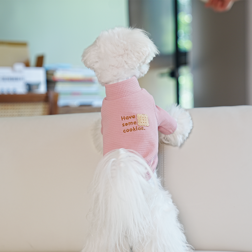 Polera perro Love Biscuit
