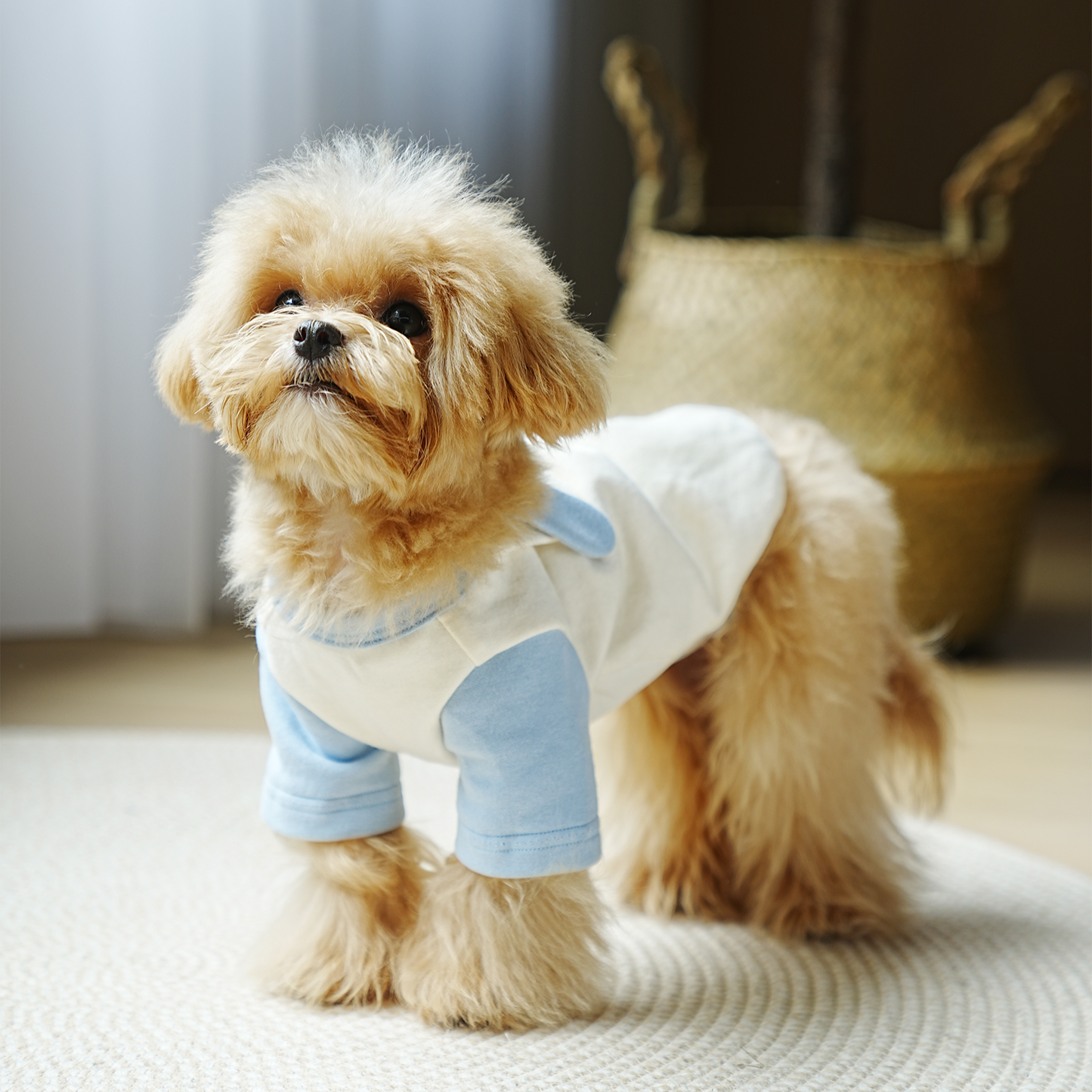 Polera perro animalitos tiernos