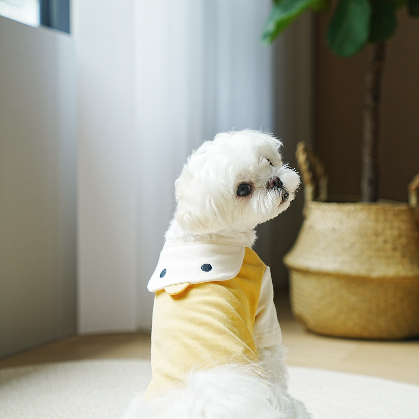 Polera perro animalitos tiernos