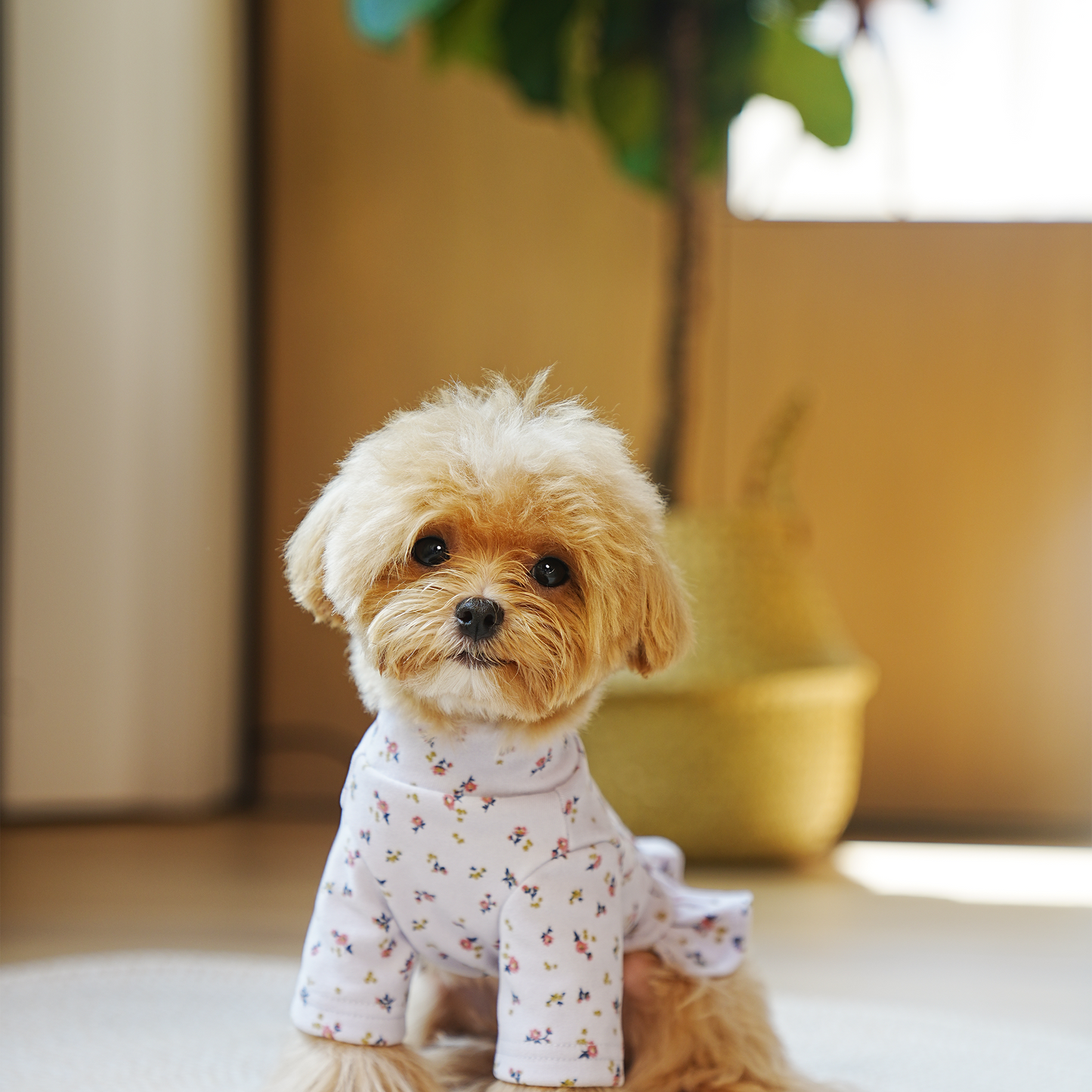 Vestido floral para perro