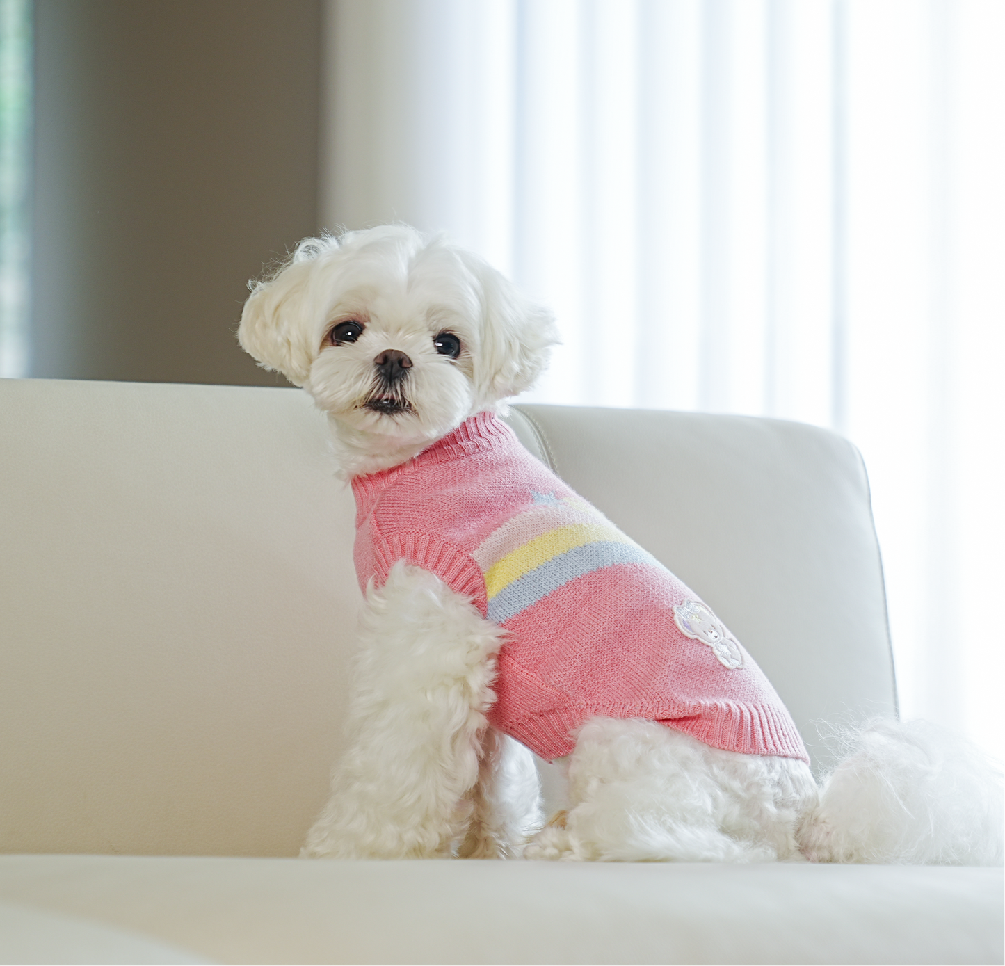 Suéter perro arcoiris de ensueño