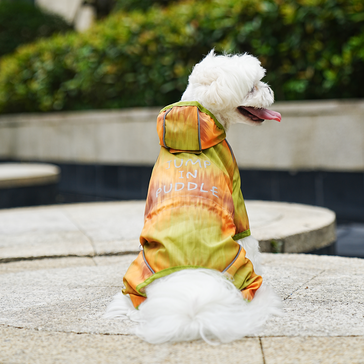 Impermeable degradado para perros