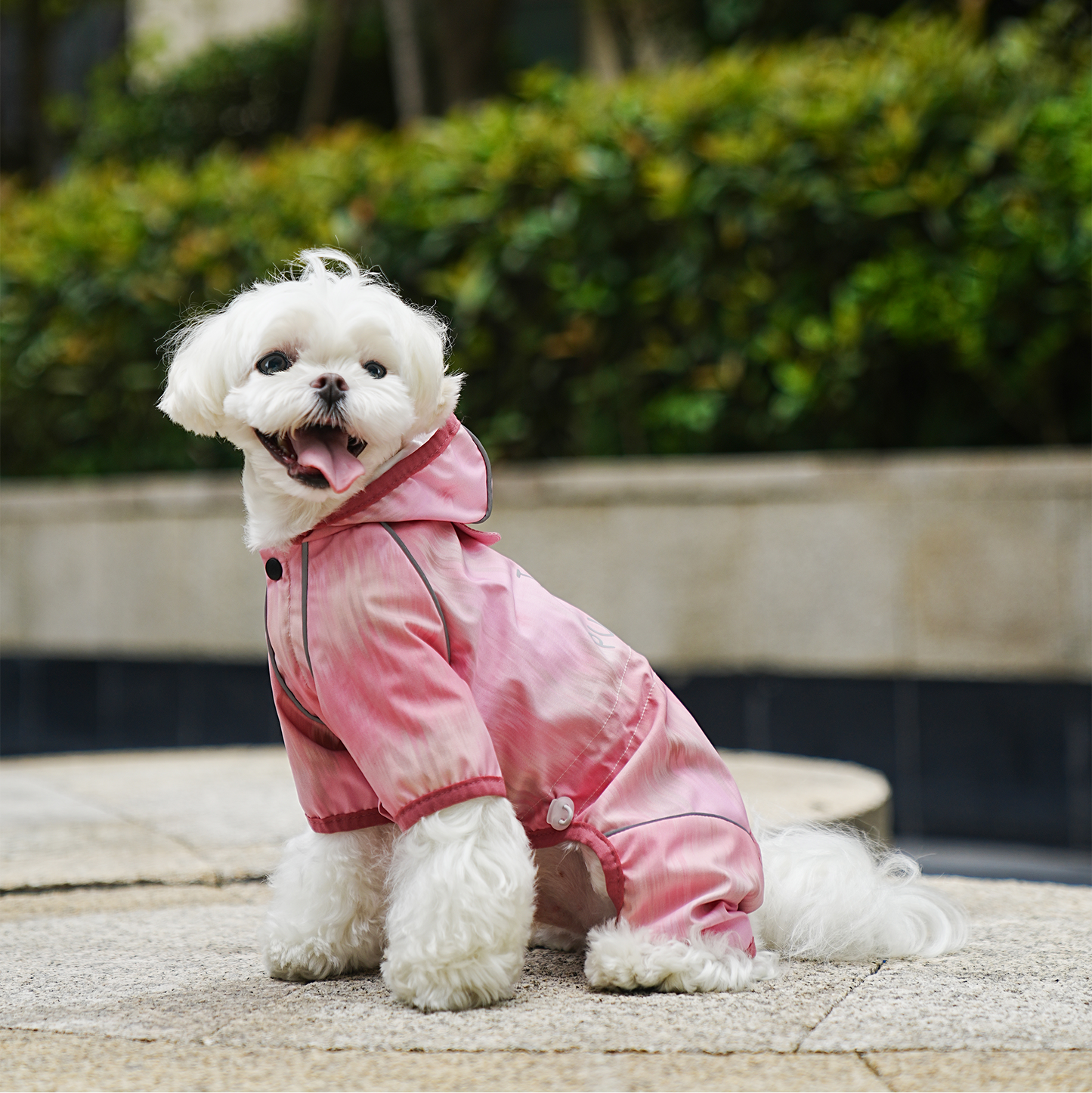 Impermeable degradado para perros