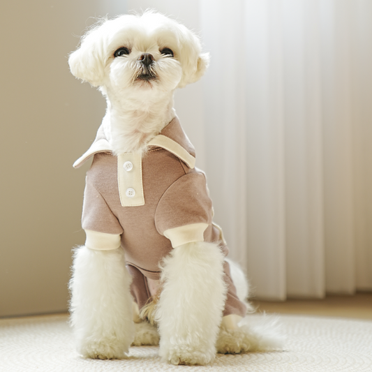 Enterito elegante para perros