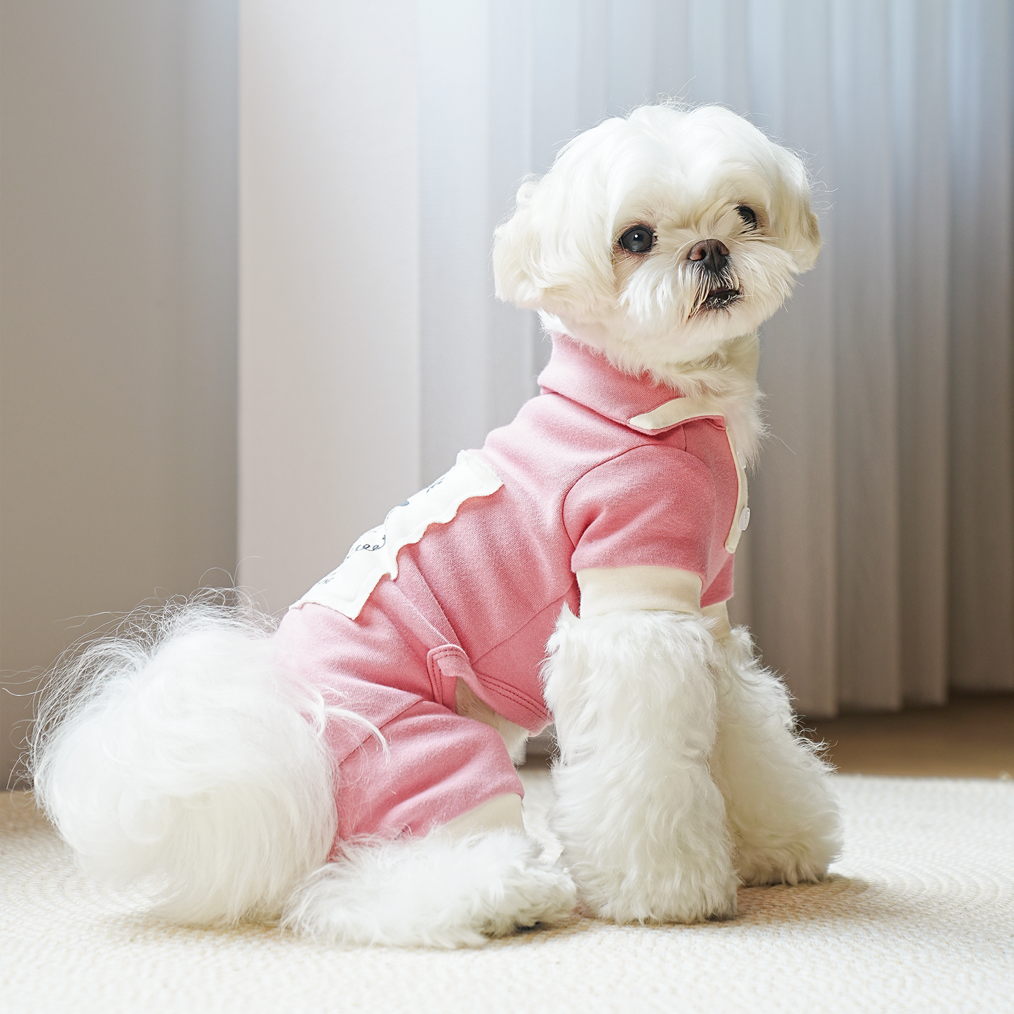 Enterito elegante para perros