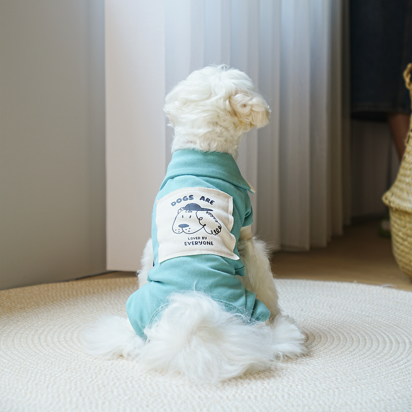 Enterito elegante para perros