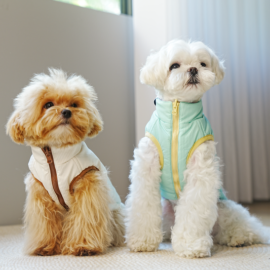 Chaqueta perro reversible