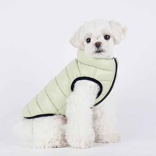 Parka perro acolchada Cloud
