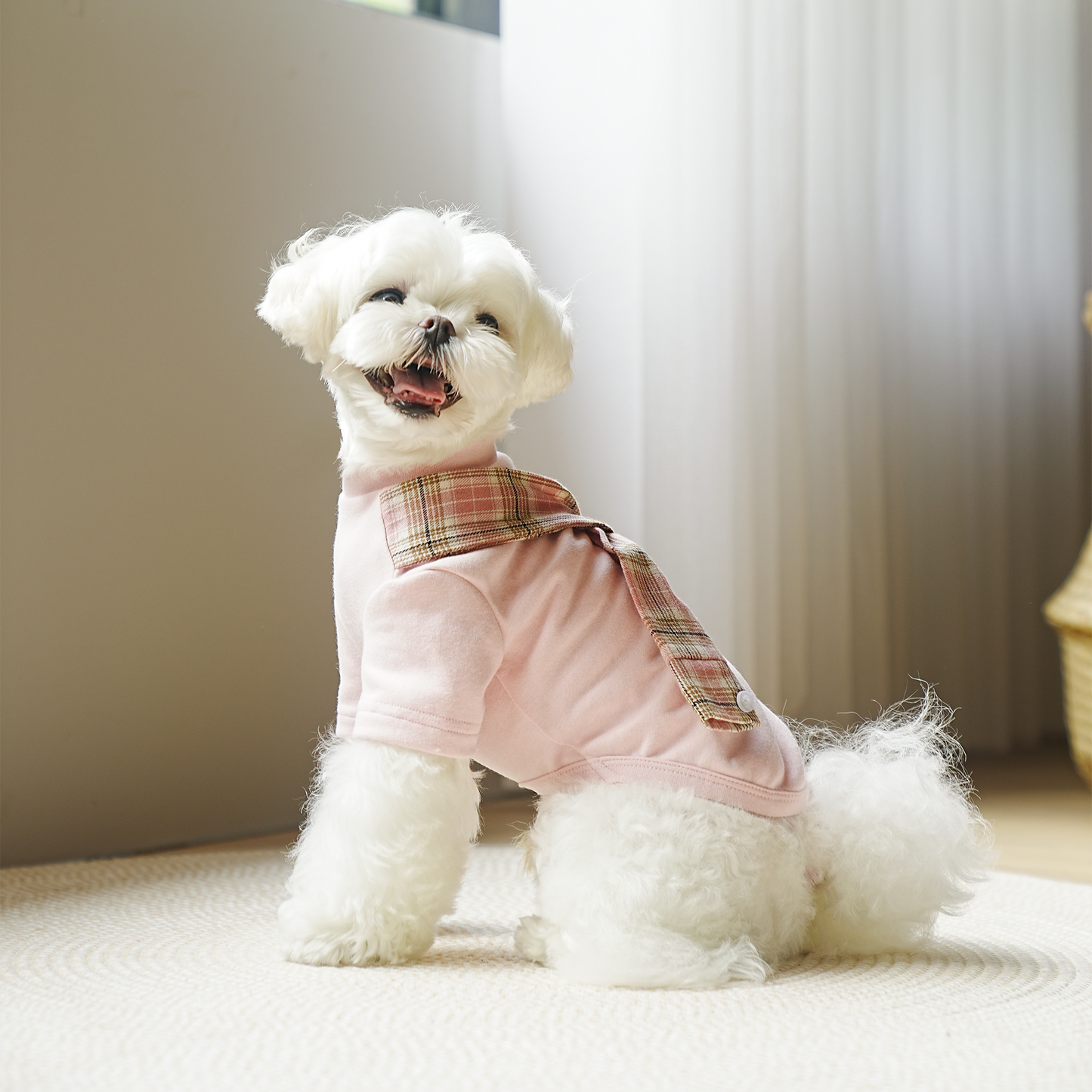Polera con bufanda para perro